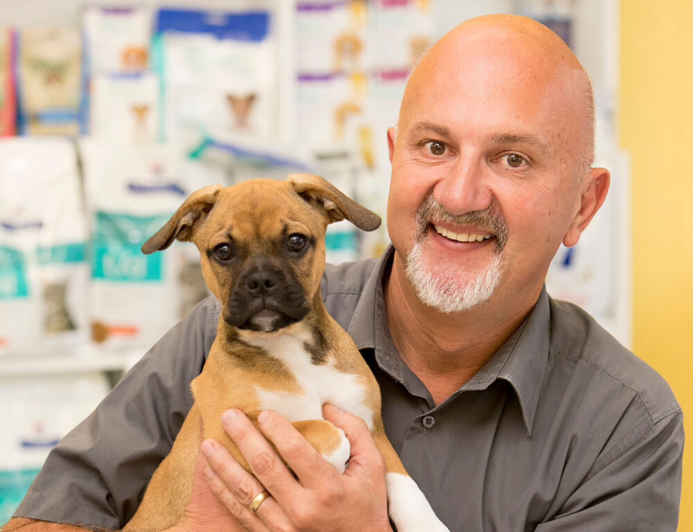 Veterinarian holding a dog