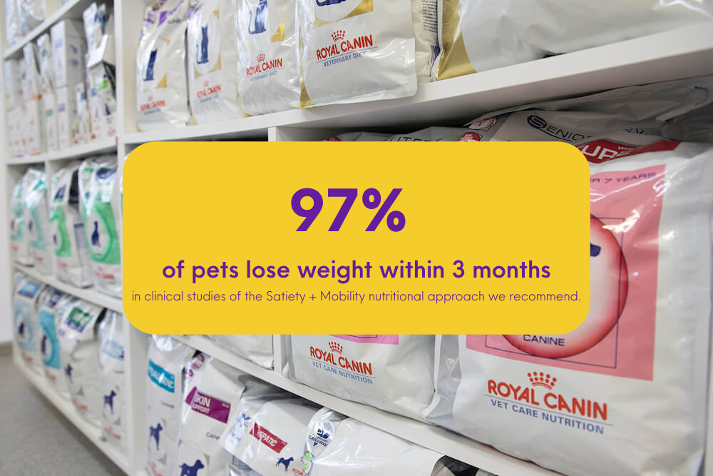 nutritional pet food bags on display